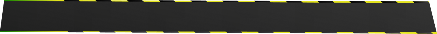 Early Bird Banner